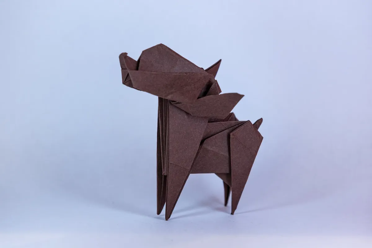 Pieski - origami, zdjęcie 3