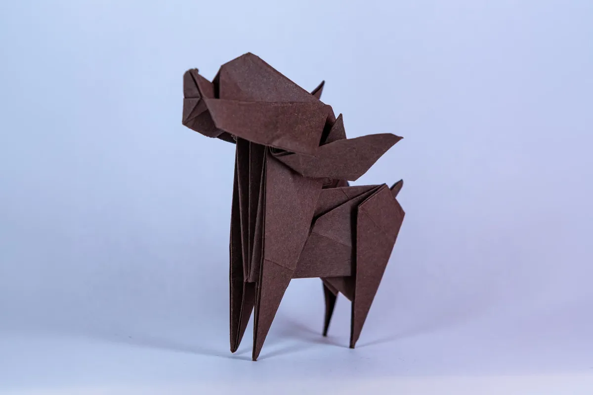 Pieski - origami, zdjęcie 4