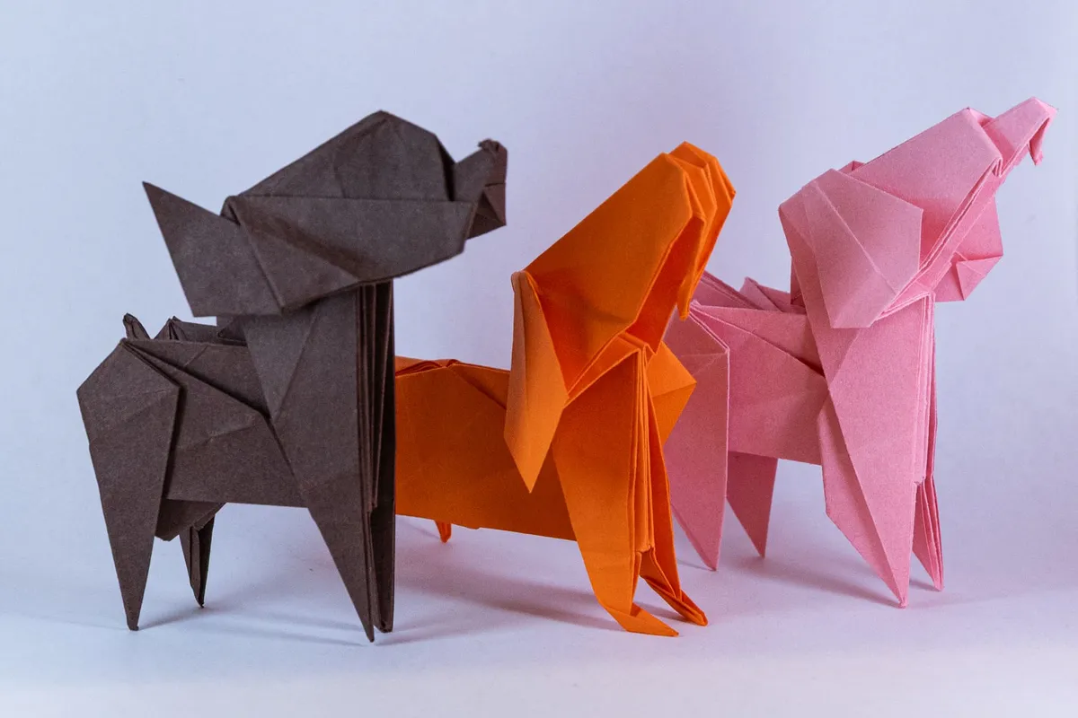 Pieski - origami, zdjęcie 12