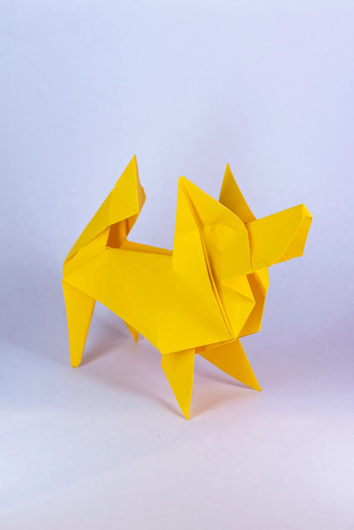 Pieski - origami, zdjęcie 15